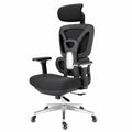 chaise-de-bureau-ergonomique-reglable-confort-pour-travail-prolonge-kuufqh3551jg